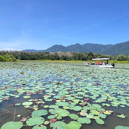 Branda Kampung Sumpitan Lenggong Tiada Sungai Hotell Kampong Ulu Jepai Exteriör bild