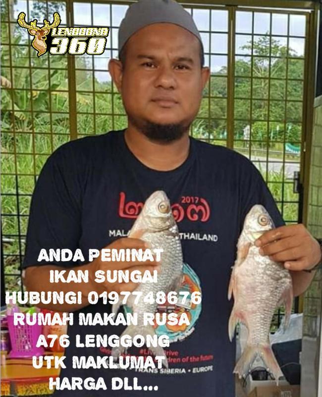 Branda Kampung Sumpitan Lenggong Tiada Sungai Hotell Kampong Ulu Jepai Exteriör bild