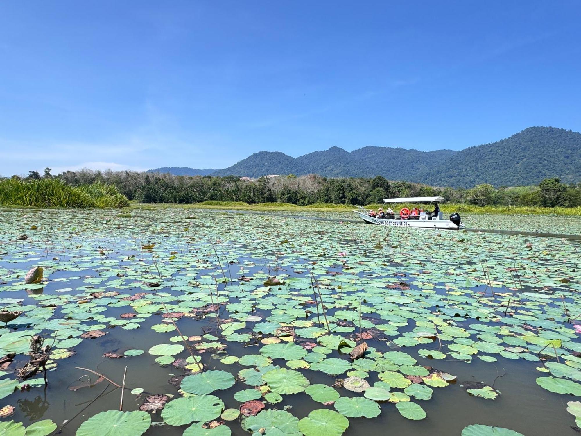 Branda Kampung Sumpitan Lenggong Tiada Sungai Hotell Kampong Ulu Jepai Exteriör bild
